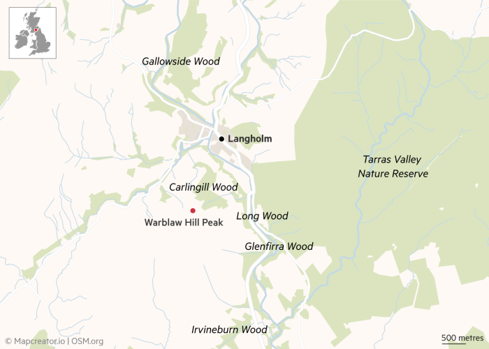 Langholm Conifers planted in south of Scotland and other regions